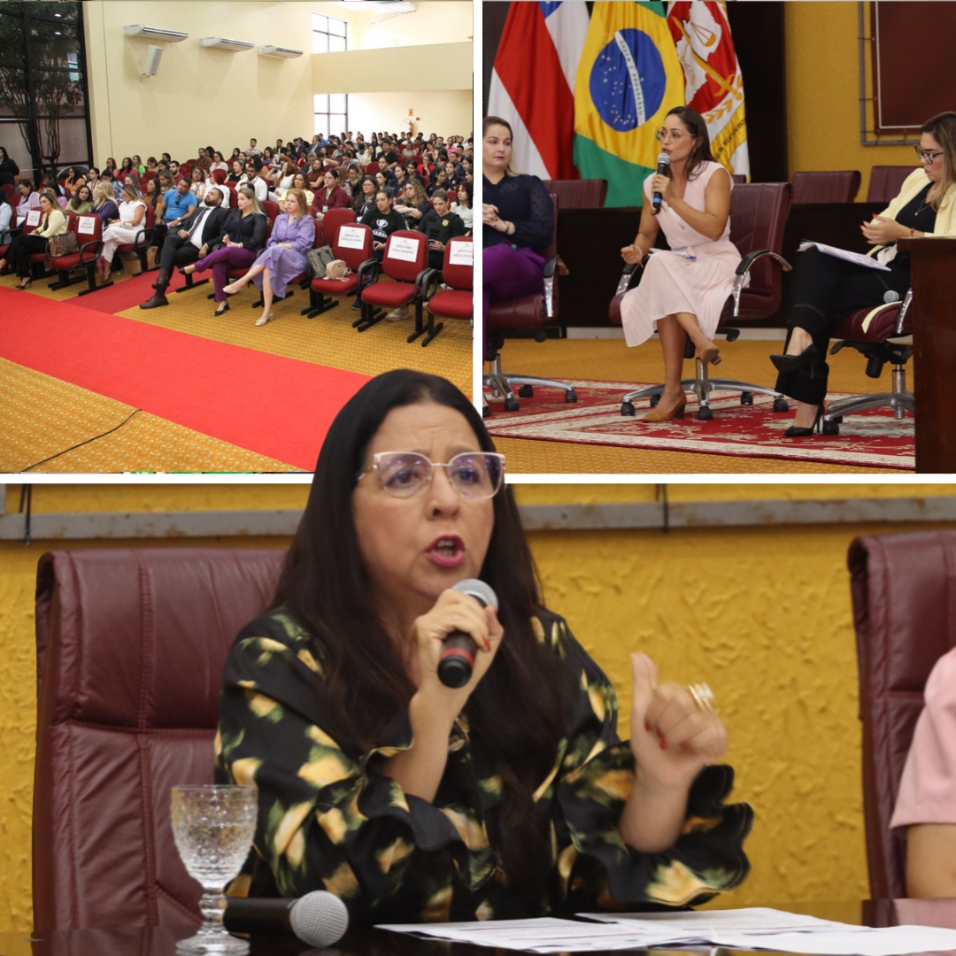 070825 Simpósio Lei Maria da Penha Hirailton Gomes 3 a7bb1