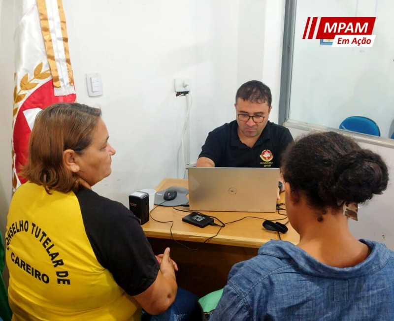 capacareirocastanho_0b943.jpg