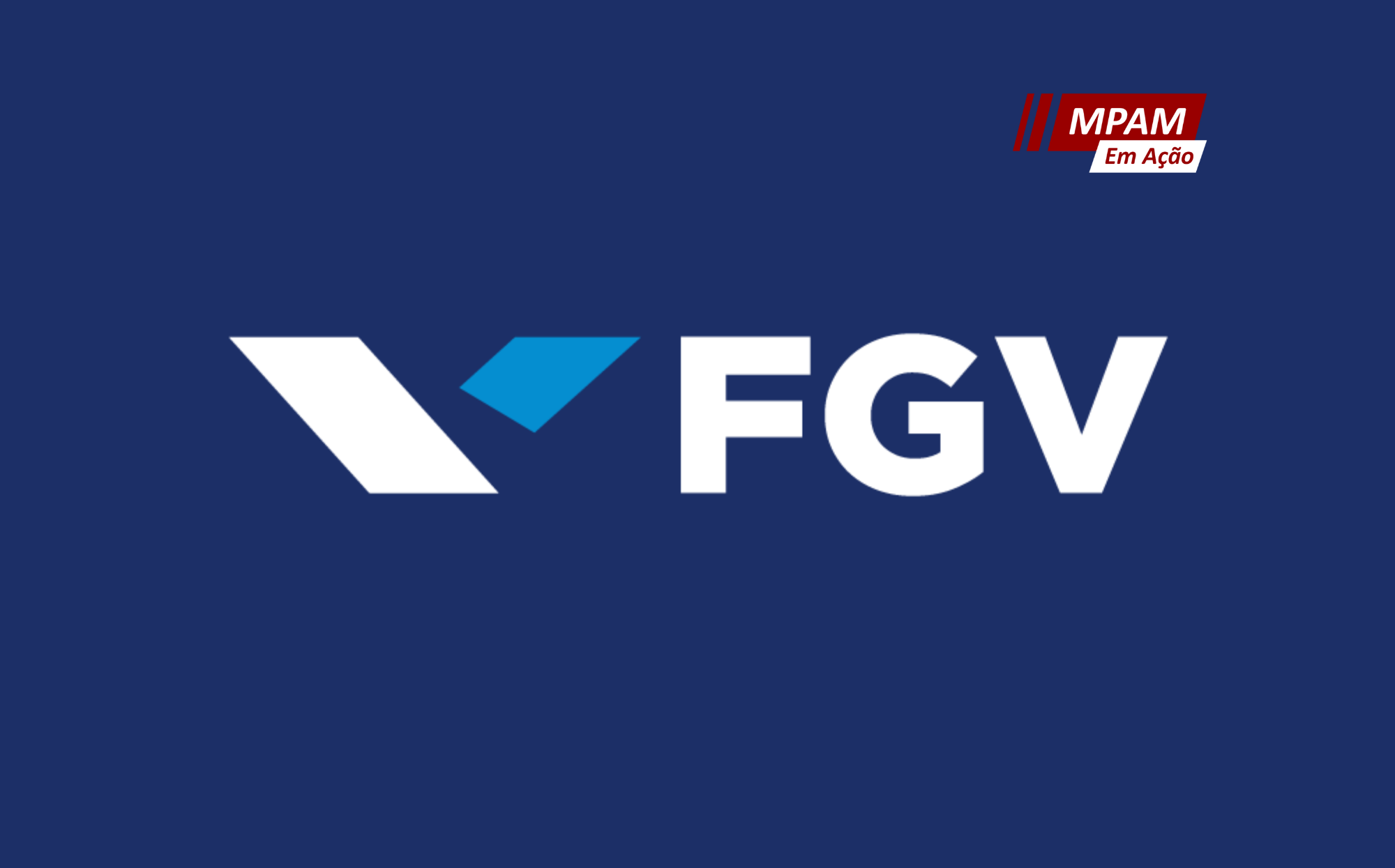 fgv0507 ee993