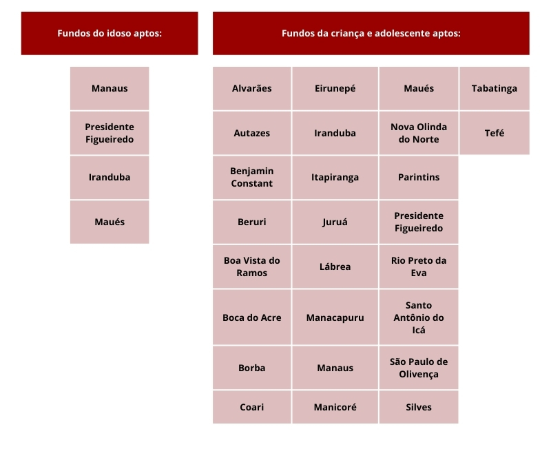 AçãoIncentivoDoaçõesIRSolidário2025Quadro 08398