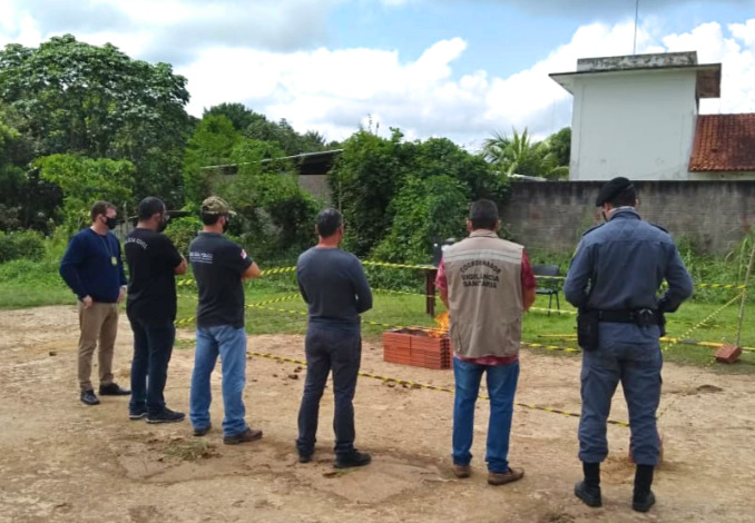 incineração drogas guajará 7d7d9